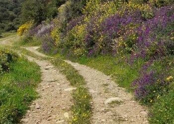 Top Vakantiehuizen | Bed and Breakfast