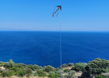 Top Vakantiehuizen | Bed and Breakfast