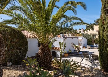 Top Vakantiehuizen | Bed and Breakfast