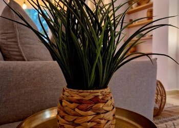 Top Vakantiehuizen | Bed and Breakfast