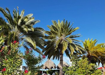 Top Vakantiehuizen | Bed and Breakfast