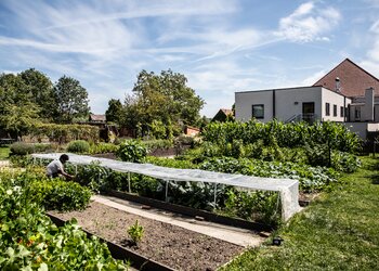 Top Vakantiehuizen | Bed and Breakfast