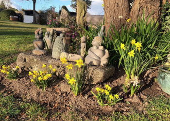 Top Vakantiehuizen | Bed and Breakfast