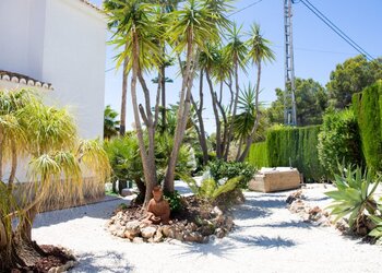 Top Vakantiehuizen | Bed and Breakfast