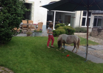 Top Vakantiehuizen | Bed and Breakfast