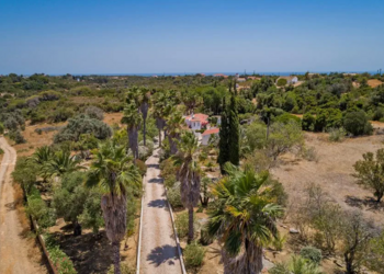 Top Vakantiehuizen | Bed and Breakfast