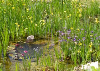 Top Vakantiehuizen | Bed and Breakfast