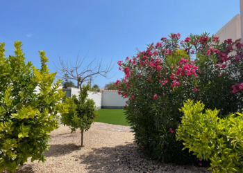 Top Vakantiehuizen | Bed and Breakfast