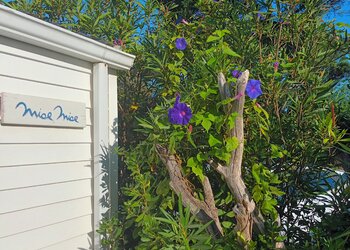 Top Vakantiehuizen | Bed and Breakfast