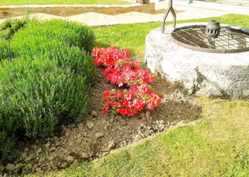 Top Vakantiehuizen | Bed and Breakfast