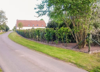 Top Vakantiehuizen | Bed and Breakfast