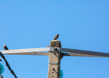 Top Vakantiehuizen | Bed and Breakfast