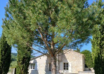 Top Vakantiehuizen | Bed and Breakfast