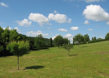 Top Vakantiehuizen | Bed and Breakfast
