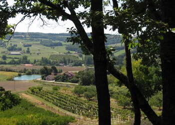 Top Vakantiehuizen | Bed and Breakfast