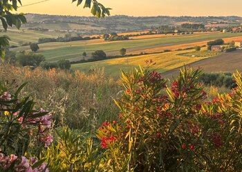 Top Vakantiehuizen | Bed and Breakfast