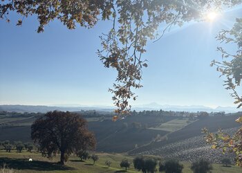 Top Vakantiehuizen | Bed and Breakfast