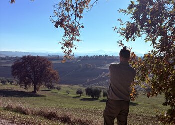 Top Vakantiehuizen | Bed and Breakfast