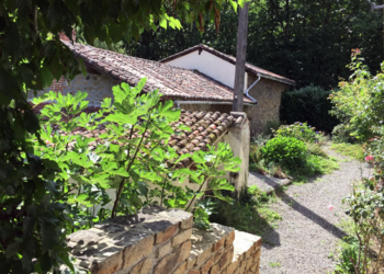 Top Vakantiehuizen | Bed and Breakfast