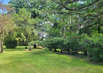 Top Vakantiehuizen | Bed and Breakfast