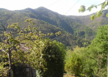 Top Vakantiehuizen | Bed and Breakfast