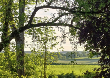 Top Vakantiehuizen | Bed and Breakfast