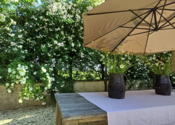 Top Vakantiehuizen | Bed and Breakfast