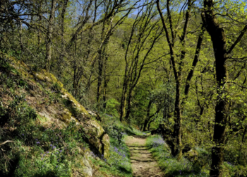 Top Vakantiehuizen | Bed and Breakfast