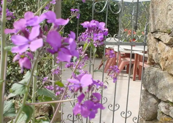 Top Vakantiehuizen | Bed and Breakfast