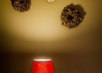 Top Vakantiehuizen | Bed and Breakfast
