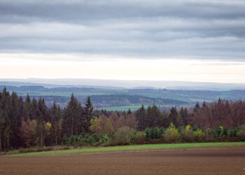 Top Vakantiehuizen | Bed and Breakfast