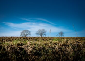 Top Vakantiehuizen | Bed and Breakfast