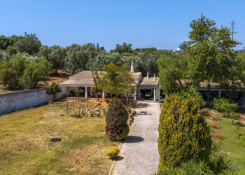 Top Vakantiehuizen | Bed and Breakfast