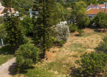 Top Vakantiehuizen | Bed and Breakfast