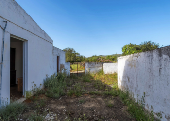 Top Vakantiehuizen | Bed and Breakfast
