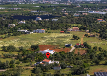 Top Vakantiehuizen | Bed and Breakfast