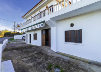 Top Vakantiehuizen | Bed and Breakfast
