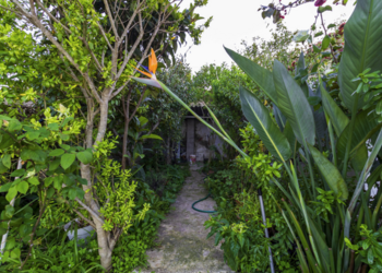 Top Vakantiehuizen | Bed and Breakfast