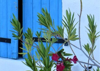 Top Vakantiehuizen | Bed and Breakfast