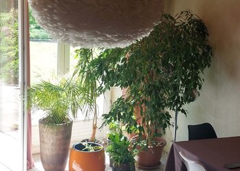 Top Vakantiehuizen | Bed and Breakfast