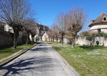 Top Vakantiehuizen | Bed and Breakfast