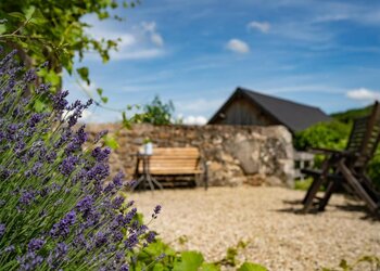 Top Vakantiehuizen | Bed and Breakfast
