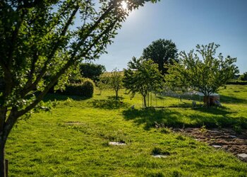 Top Vakantiehuizen | Bed and Breakfast