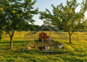 Top Vakantiehuizen | Bed and Breakfast