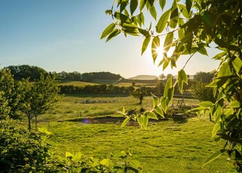 Top Vakantiehuizen | Bed and Breakfast