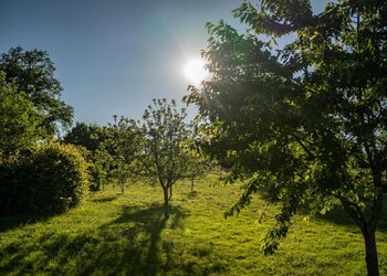 Top Vakantiehuizen | Bed and Breakfast