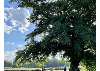 Top Vakantiehuizen | Bed and Breakfast