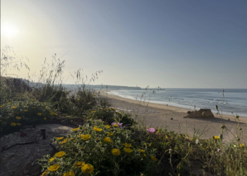 Top Vakantiehuizen | Bed and Breakfast