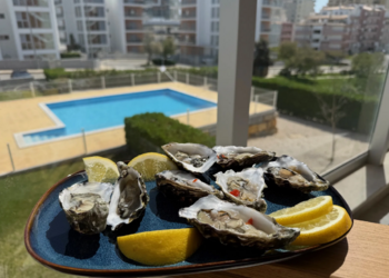 Top Vakantiehuizen | Bed and Breakfast