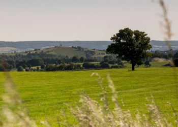 Top Vakantiehuizen | Bed and Breakfast